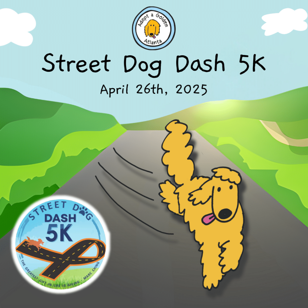 street dog dash 5k