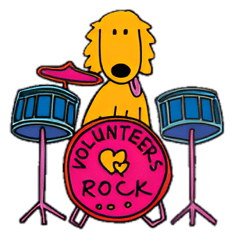 volunteers rock